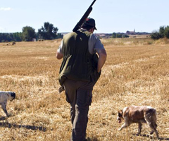 Califican como "bastante mala" la temporada de caza menor en Córdoba
